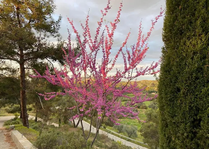 Σπίτι διακοπών Anti Onirou Flasou