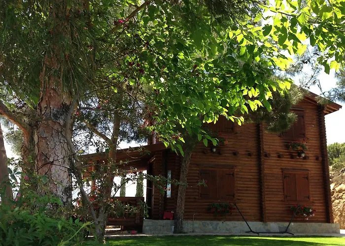 Anti Onirou * Flasou