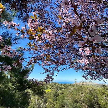 Anti Onirou Hébergement de vacances Flasou