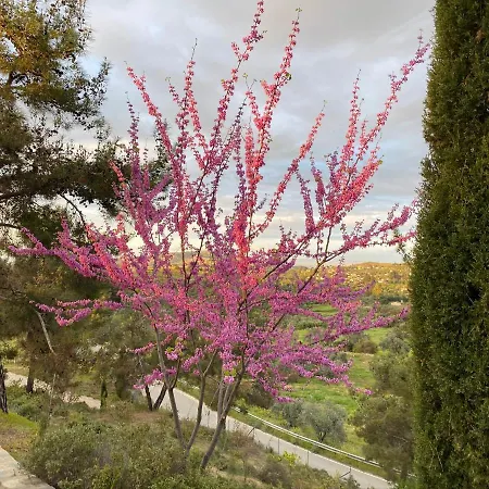 Hébergement de vacances Anti Onirou Flasou