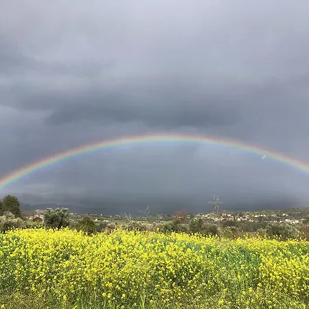 Nyaraló Anti Onirou