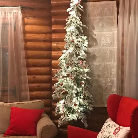 Nyaraló Anti Onirou