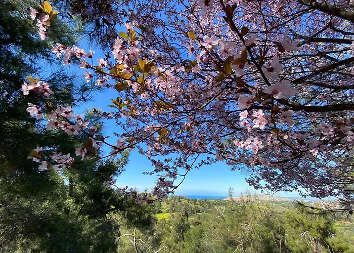Anti Onirou Prázdninový dům Flasou