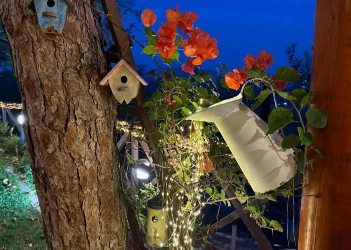 Anti Onirou Prázdninový dům *